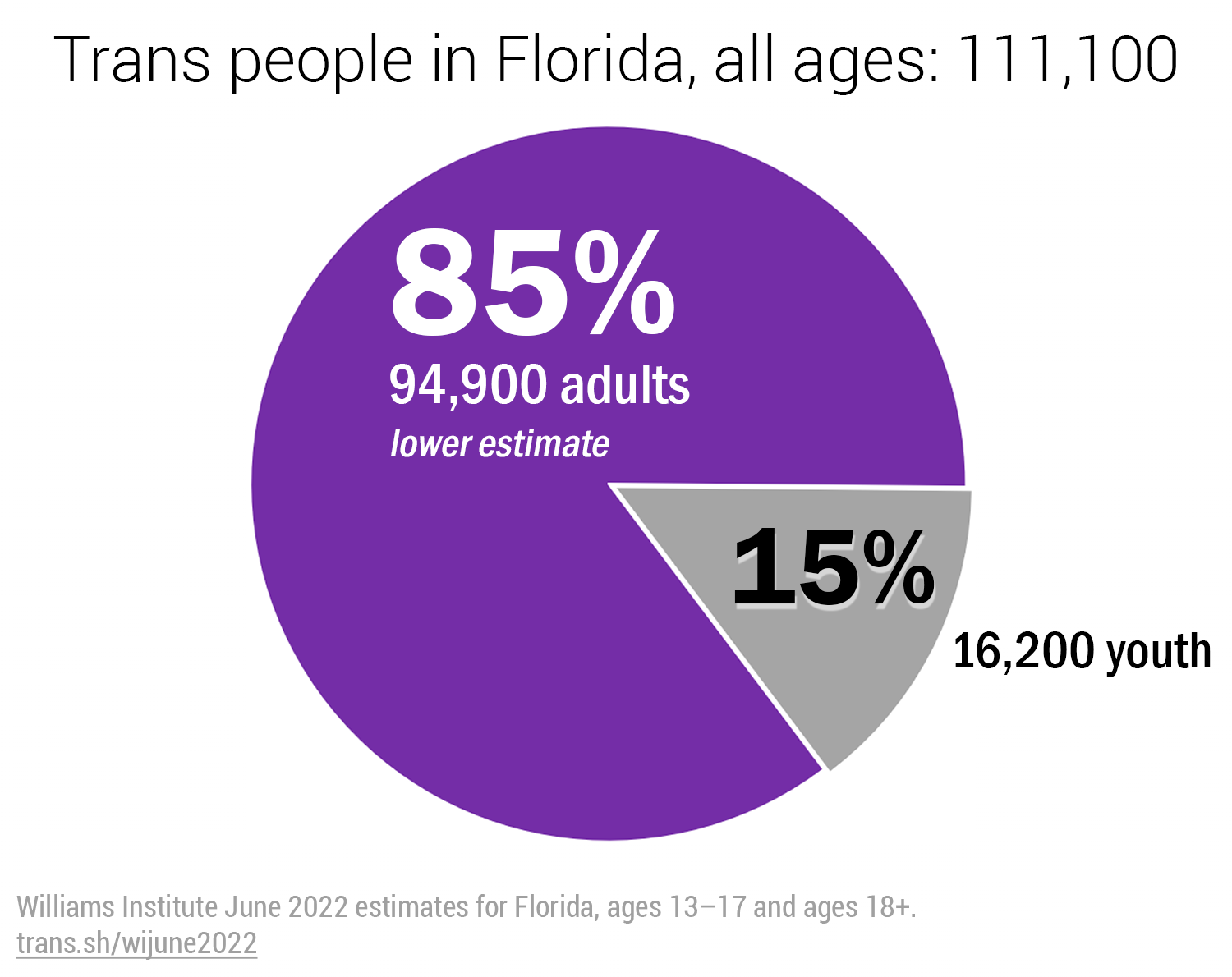 Trans people in Florida, all ages 13+: 111,100. Trans adults: 94,900 (85%) (lower estimate). Trans youth: 16,200 (15%). Williams Institute June 2022 estimates for Florida, ages 13-17 and ages 18+. https://trans.sh/wijune2022